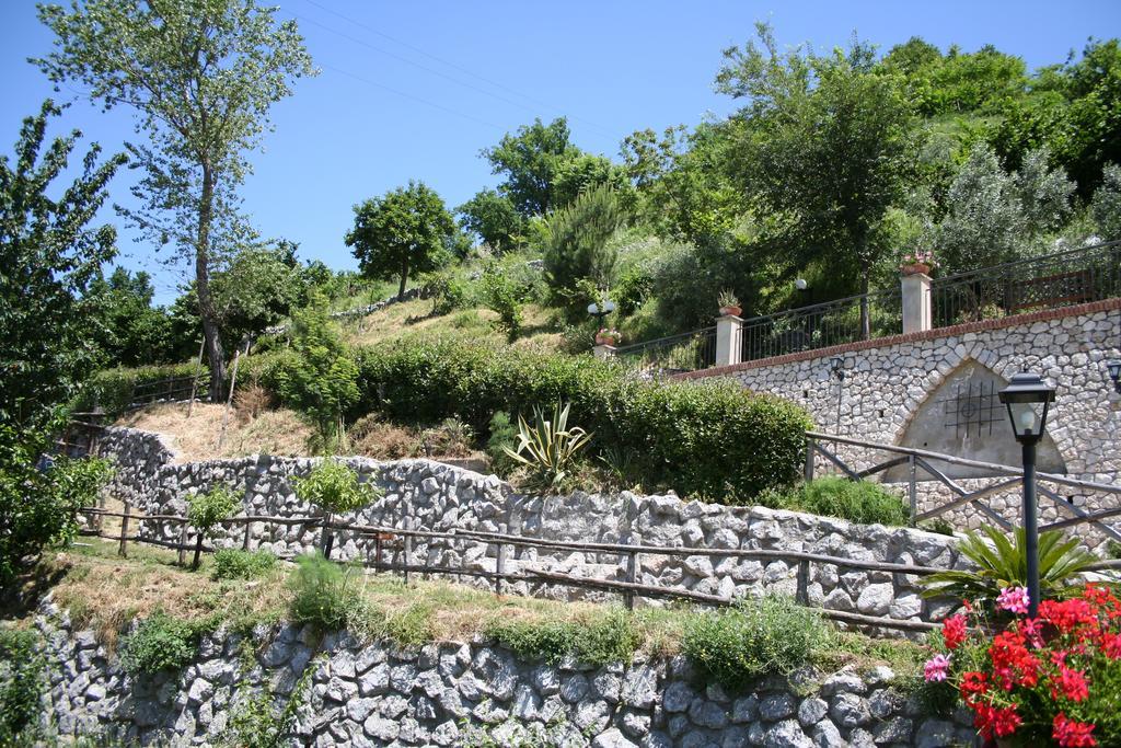 Agriturismo La Grotta Corbara  Eksteriør bilde